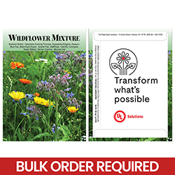 Wildflower Seed Packet - Transform What's Possible
