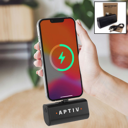 Dual Plug Power Bank