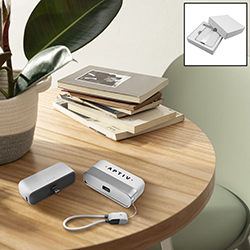 Gemini Shareable Power Bank